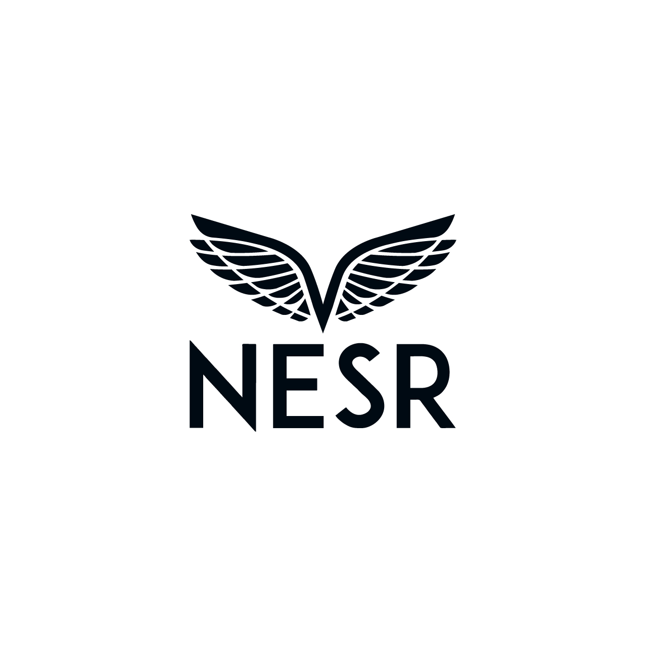 https://www.nesr.com