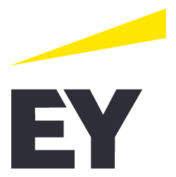 ERNST & YOUNG PROFESSIONAL SERVICES (PROFESSIONAL LLC)